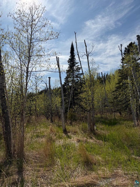 Tiny photo for 5 Birch Cliff Dr, Tofte, MN 55615 (MLS # 6126554)