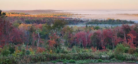Tiny photo for 5241 Hut Two Rd, Finland, MN 55603 (MLS # 6125696)