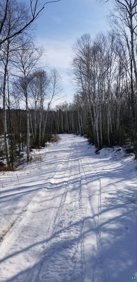 Tiny photo for 5241 Hut Two Rd, Finland, MN 55603 (MLS # 6125696)