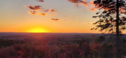 Tiny photo for 5241 Hut Two Rd, Finland, MN 55603 (MLS # 6125696)