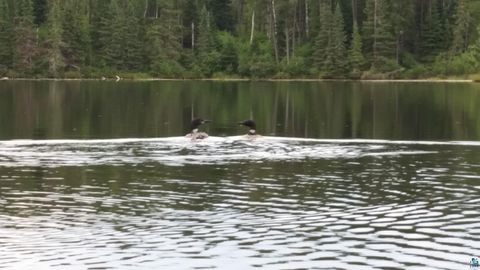 Tiny photo for 3 County Rd 904, Babbitt, MN 55706 (MLS # 6124441)