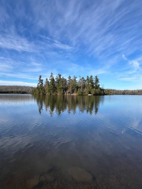 Tiny photo for 8915 Cramer Rd, Finland, MN 55603 (MLS # 6122667)