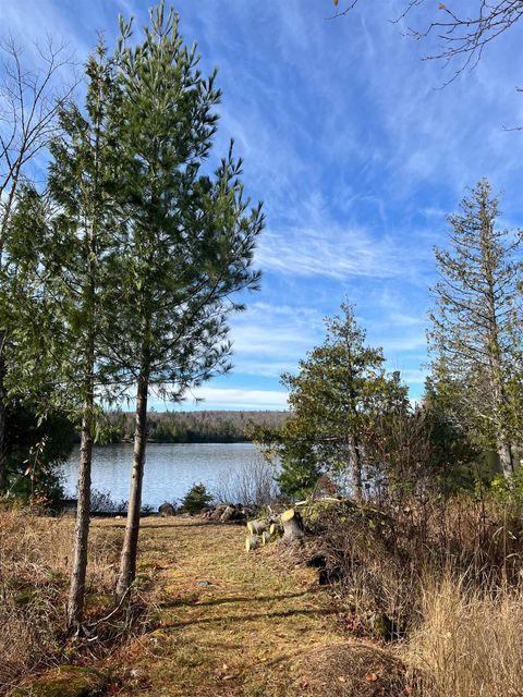 Photo of 8915 Cramer Rd, Finland, MN 55603 (MLS # 6122667)