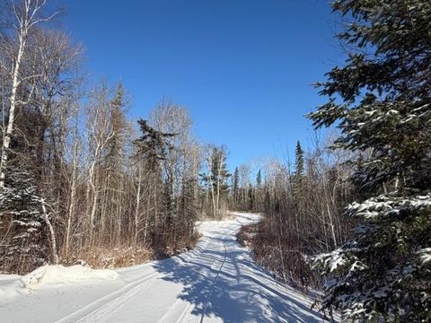 Tiny photo for 1152 Fernberg Rd, Ely, MN 55731 (MLS # 6123227)