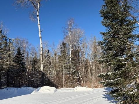 Tiny photo for 1152 Fernberg Rd, Ely, MN 55731 (MLS # 6123227)