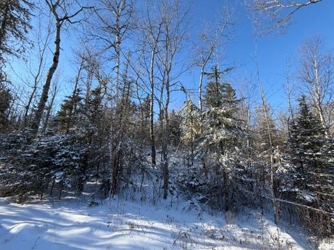 Tiny photo for 1152 Fernberg Rd, Ely, MN 55731 (MLS # 6123227)
