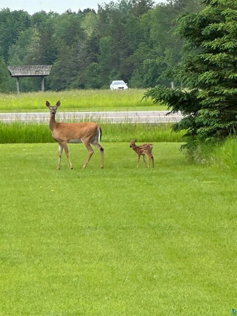 Tiny photo for 2495 County Rd 5, Carlton, MN 55718 (MLS # 6123929)