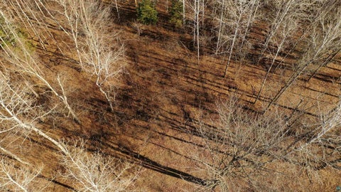 Tiny photo for xxx County Rd 6, Kettle River, MN 55757 (MLS # 6128207)