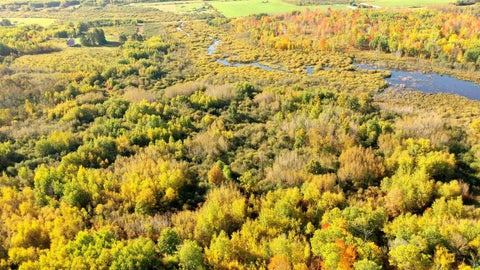 Tiny photo for xxx County Rd 6, Kettle River, MN 55757 (MLS # 6128207)