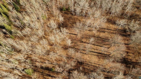 Tiny photo for xxx County Rd 6, Kettle River, MN 55757 (MLS # 6128207)