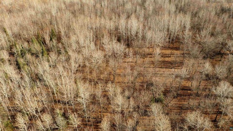 Tiny photo for xxx County Rd 6, Kettle River, MN 55757 (MLS # 6128207)