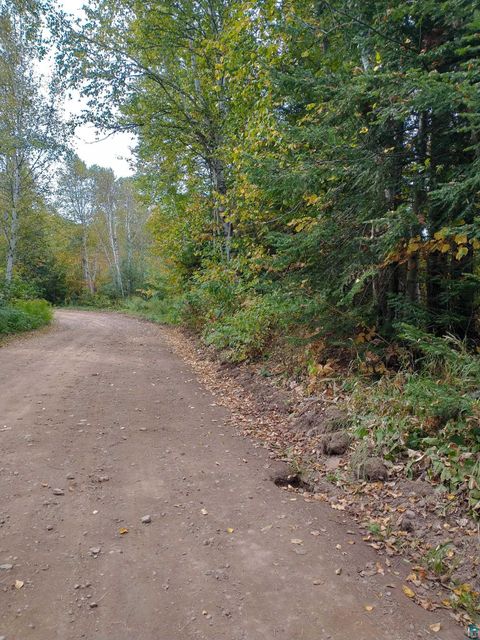 Tiny photo for XYZ Caspers Hill Rd, Grand Marais, MN 55604 (MLS # 6126001)