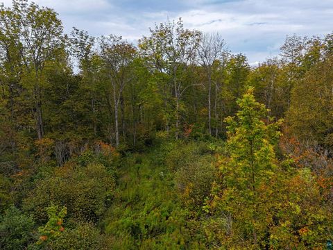 Tiny photo for XYZ Caspers Hill Rd, Grand Marais, MN 55604 (MLS # 6126001)