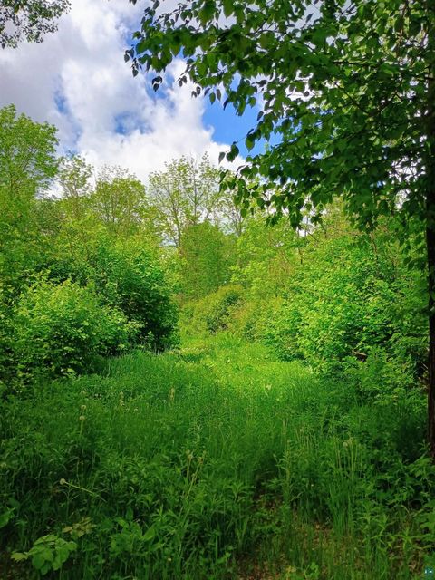 Tiny photo for XYZ Caspers Hill Rd, Grand Marais, MN 55604 (MLS # 6126001)