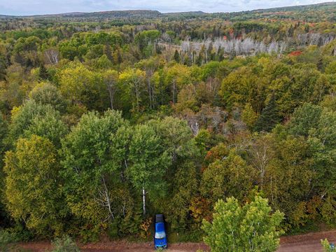 Tiny photo for XYZ Caspers Hill Rd, Grand Marais, MN 55604 (MLS # 6126001)