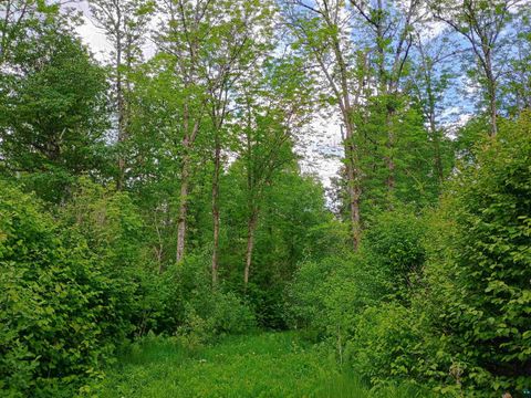 Tiny photo for XYZ Caspers Hill Rd, Grand Marais, MN 55604 (MLS # 6126001)
