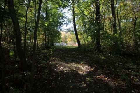 Tiny photo for 25849 River Rd, Cohasset, MN 55721 (MLS # 6122203)