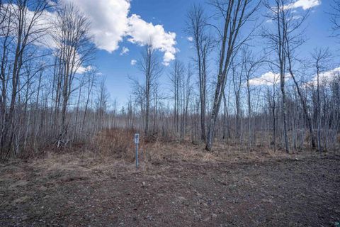 Tiny photo for 60 Rycor Lane, Duluth, MN 55811 (MLS # 6124760)