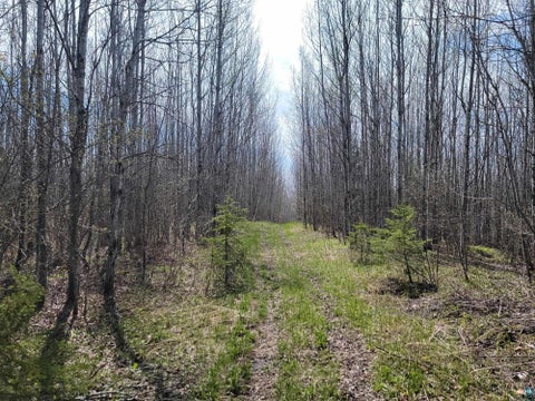 Tiny photo for 80 Sled Dog Trl, Hovland, MN 55606 (MLS # 6125700)