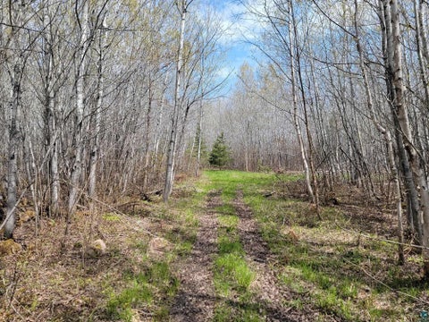 Tiny photo for 80 Sled Dog Trl, Hovland, MN 55606 (MLS # 6125700)