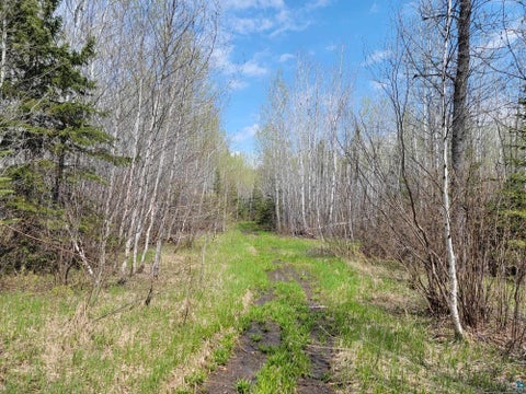 Tiny photo for 80 Sled Dog Trl, Hovland, MN 55606 (MLS # 6125700)
