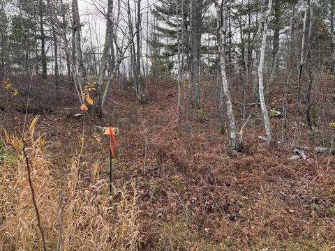 Tiny photo for TBD Wilderness Way Road, Cook, MN 55723 (MLS # 6122817)