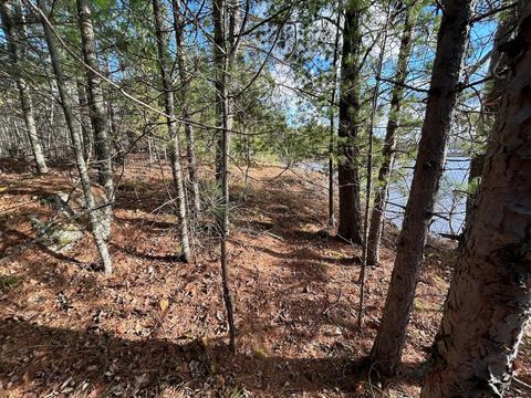Tiny photo for TBD Wilderness Way Road, Cook, MN 55723 (MLS # 6122817)