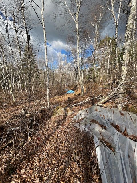 Tiny photo for TBD Wilderness Way Road, Cook, MN 55723 (MLS # 6122817)