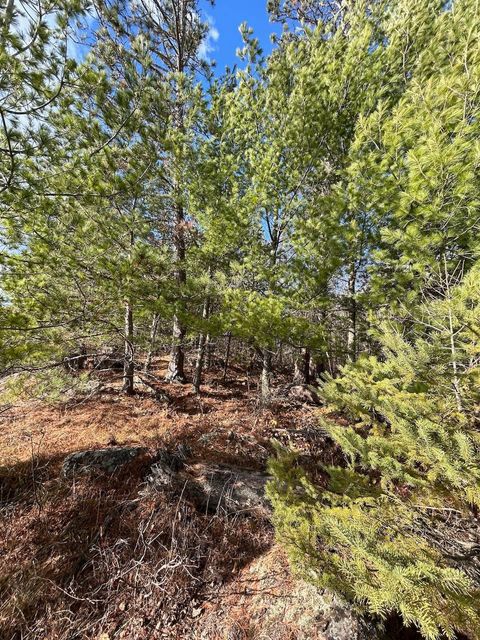 Tiny photo for TBD Wilderness Way Road, Cook, MN 55723 (MLS # 6122817)