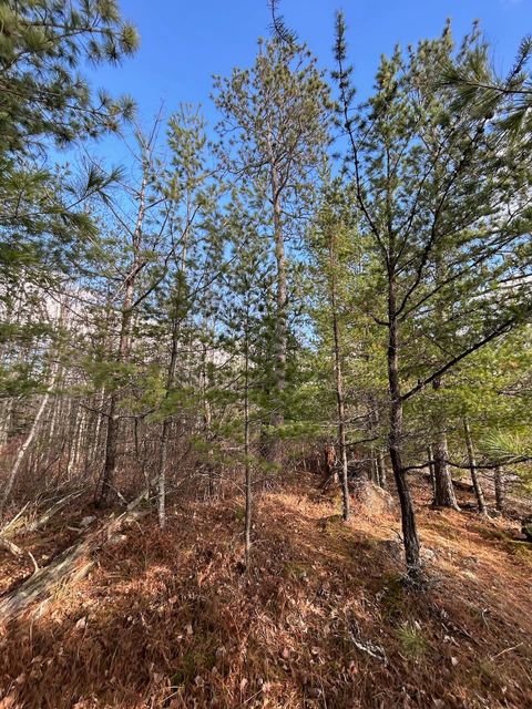Tiny photo for TBD Wilderness Way Road, Cook, MN 55723 (MLS # 6122817)