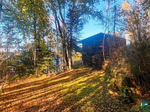 Tiny photo for 14649 Canadian Border Rd, Ely, MN 55731 (MLS # 6123895)