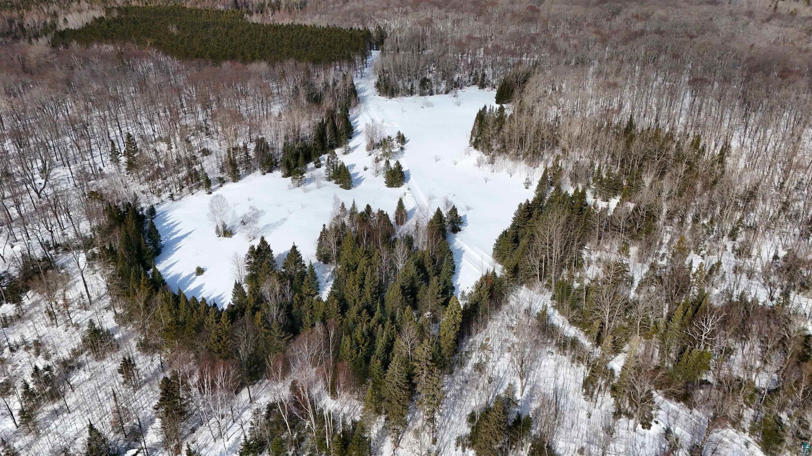 38.7 Acres Near Namakagon Rd