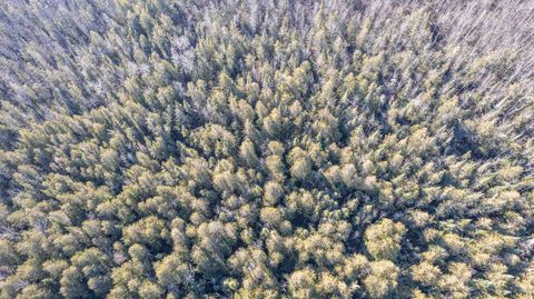 Tiny photo for 5 Highway 194, Hermantown, MN 55811 (MLS # 6123028)