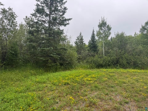 Photo of 2231 Fors Rd, Two Harbors, MN 55616 (MLS # 6127163)