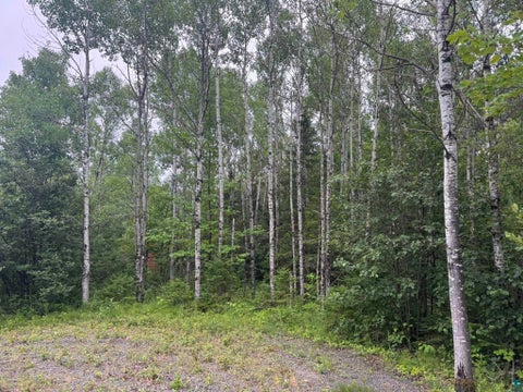 Tiny photo for 2231 Fors Rd, Two Harbors, MN 55616 (MLS # 6127163)