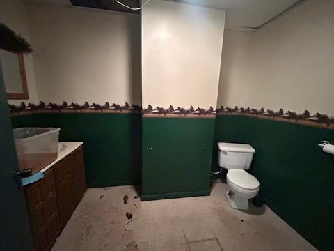 Tiny photo for 428 Chestnut St, Virginia, MN 55792 (MLS # 6123387)