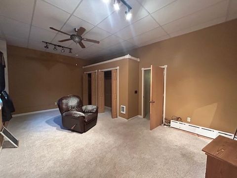 Tiny photo for 428 Chestnut St, Virginia, MN 55792 (MLS # 6123387)