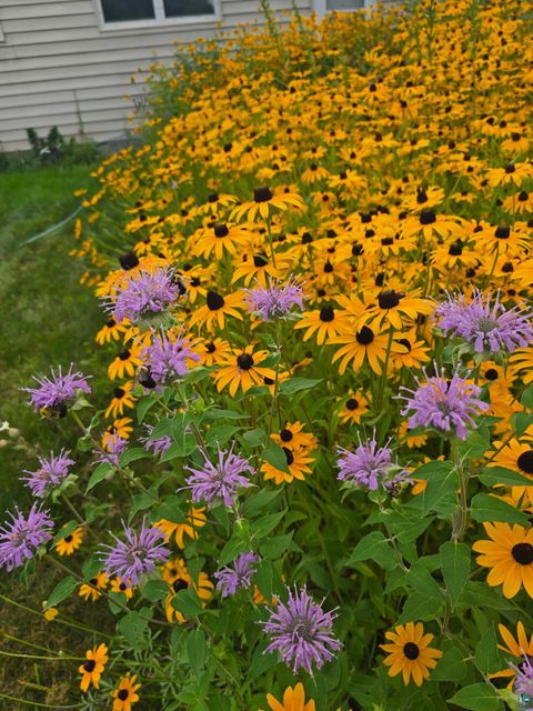 Tiny photo for 2209 Selmser Ave, Cloquet, MN 55720 (MLS # 6124294)