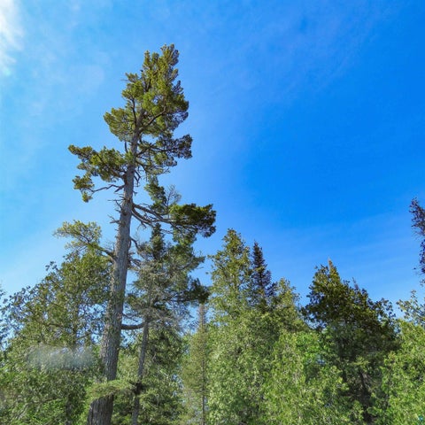 Tiny photo for 121 S Caps Tr, Lutsen, MN 55612 (MLS # 6126373)