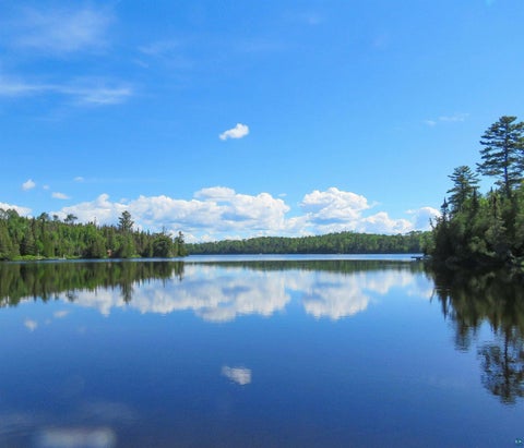 Tiny photo for 121 S Caps Tr, Lutsen, MN 55612 (MLS # 6126373)