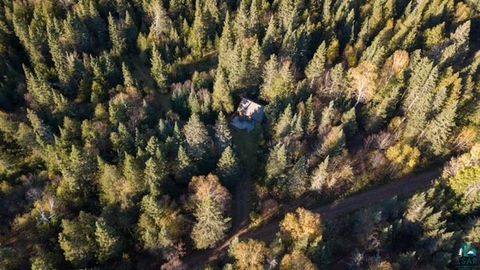 Tiny photo for 991 Ward Lake Rd, Lutsen, MN 55612 (MLS # 6125663)
