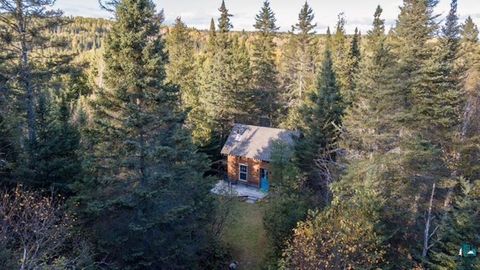 Photo of 991 Ward Lake Rd, Lutsen, MN 55612 (MLS # 6125663)