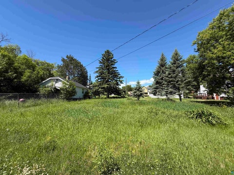 Tiny photo for XXX N 61st Ave W, Duluth, MN 55807 (MLS # 6128360)