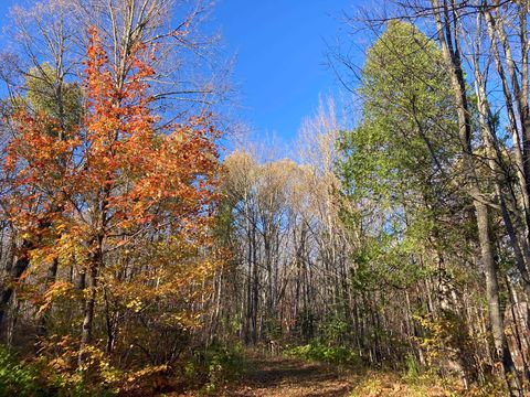 Tiny photo for 192 W Deeryard Lake Rd, Lutsen, MN 55612 (MLS # 6122427)