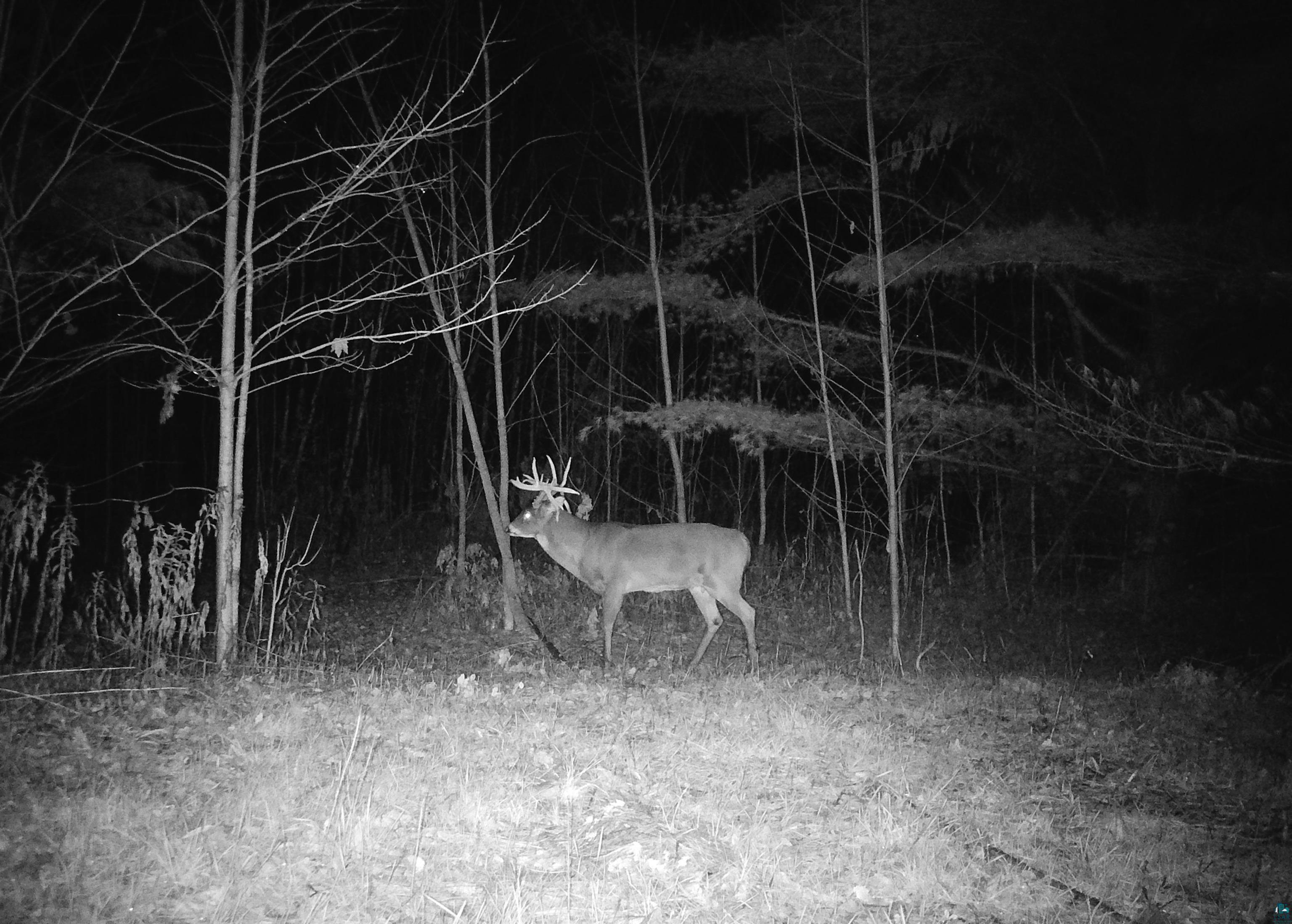 91XXX-A W Old County Hwy K