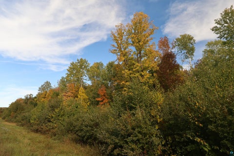 Tiny photo for 91 W Old County Hwy K, Bayfield, WI 54814 (MLS # 6128215)