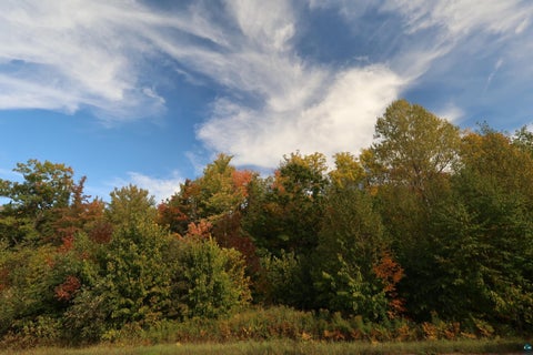 Photo of 91 W Old County Hwy K, Bayfield, WI 54814 (MLS # 6128215)
