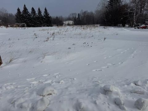 Photo of 45 3rd Ave E, Hibbing, MN 55746 (MLS # 6123409)