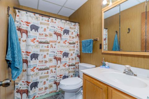 Tiny photo for 2641 Priests Point Rd, Ely, MN 55731 (MLS # 6124547)
