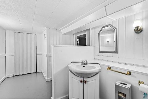 Tiny photo for 4128 W 4th St, Duluth, MN 55807 (MLS # 6124088)
